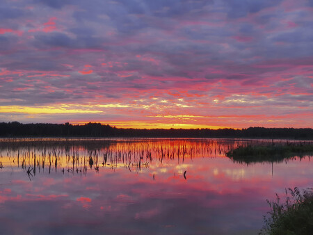 Зорька в переславле.