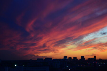 Перед дождичком в четверг