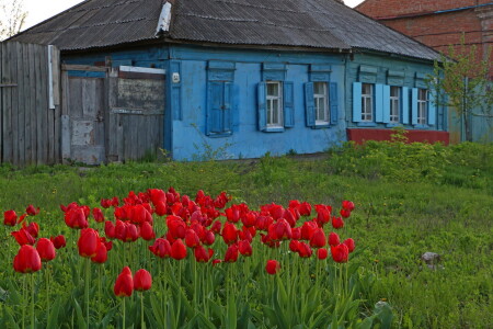 Красный+Синий