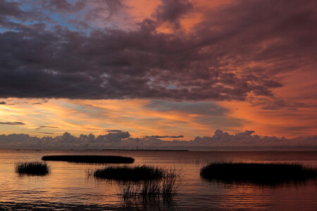 Финский залив