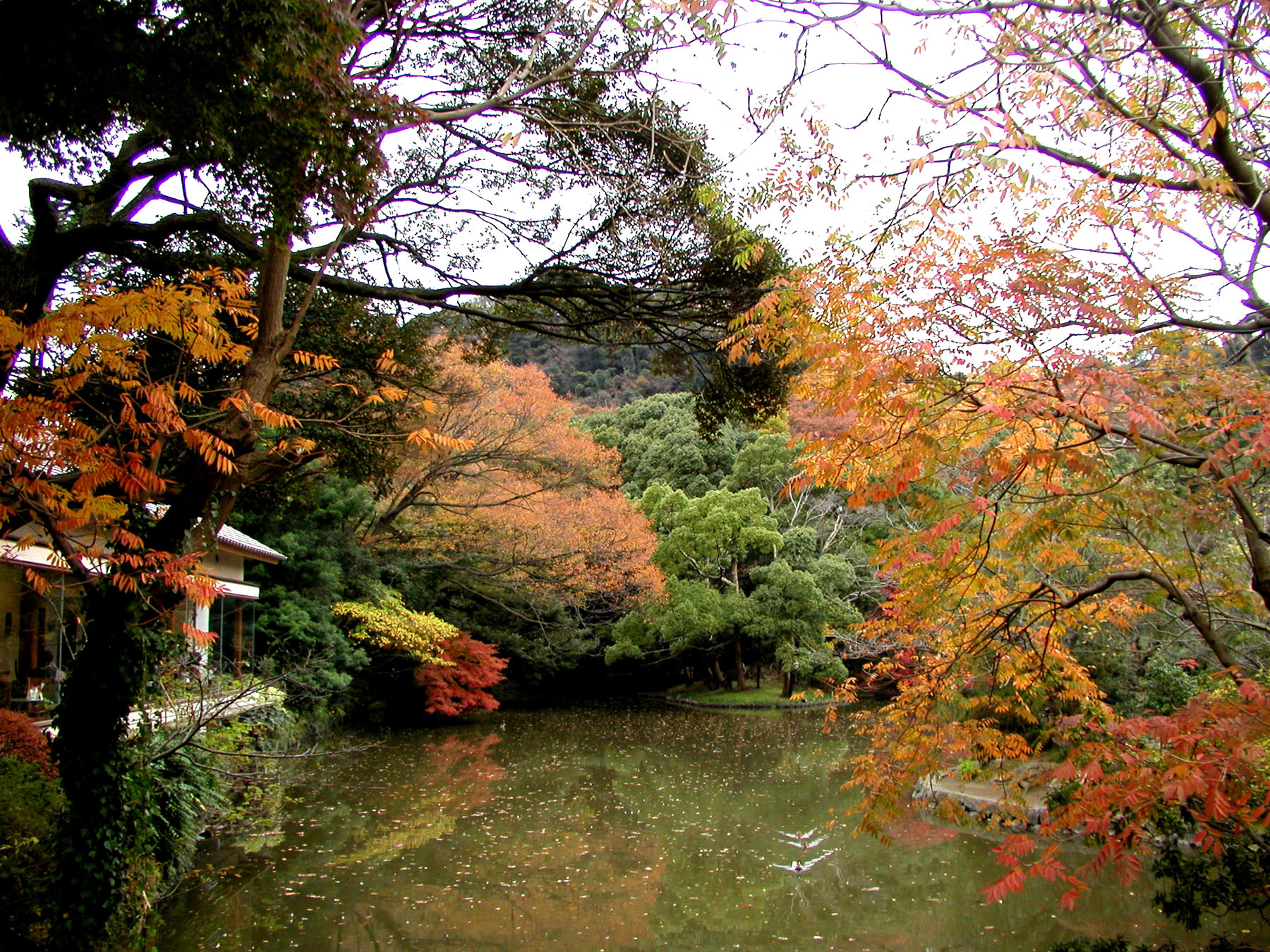 Осень в Камакуре