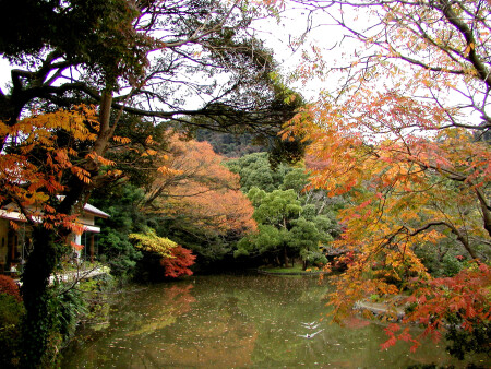 Осень в Камакуре