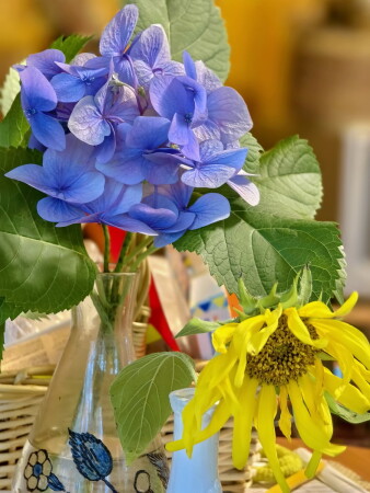 дачный натюрморт