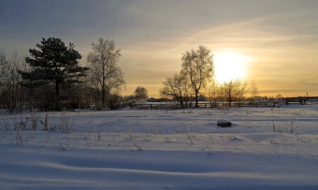 За околицей...