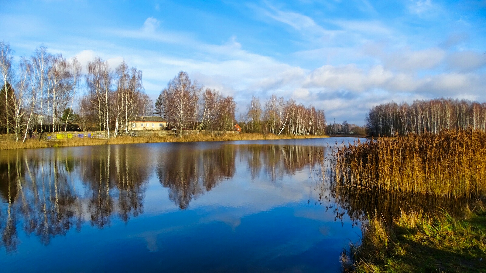 Природа Смоленщины 