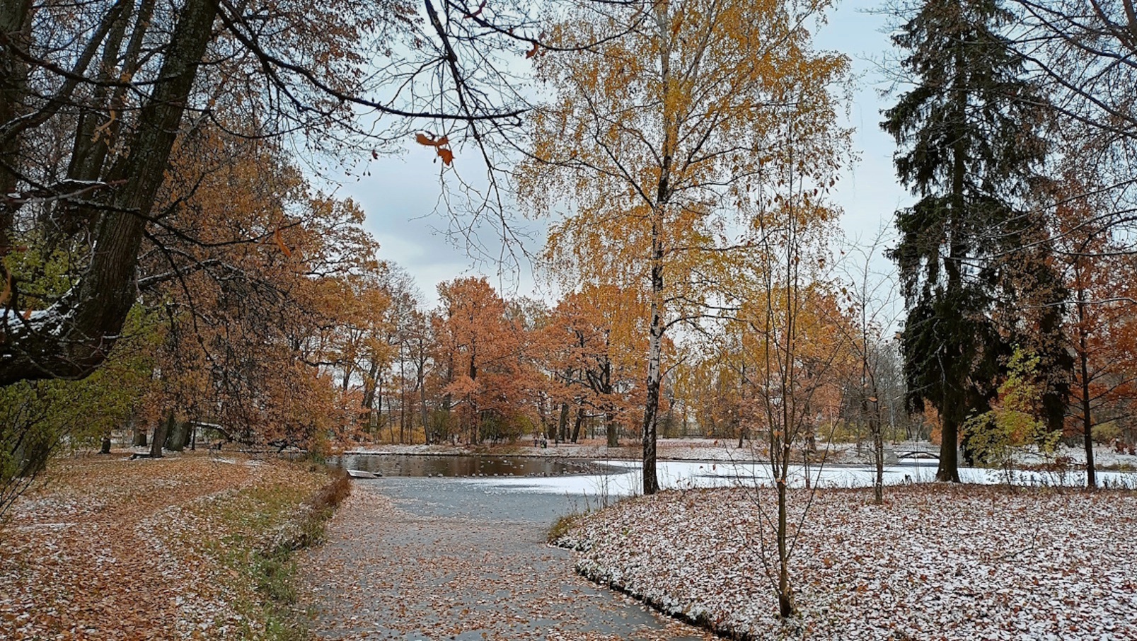 Первый снег