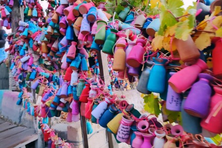 Буйство красок