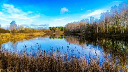 Природа Смоленщины 