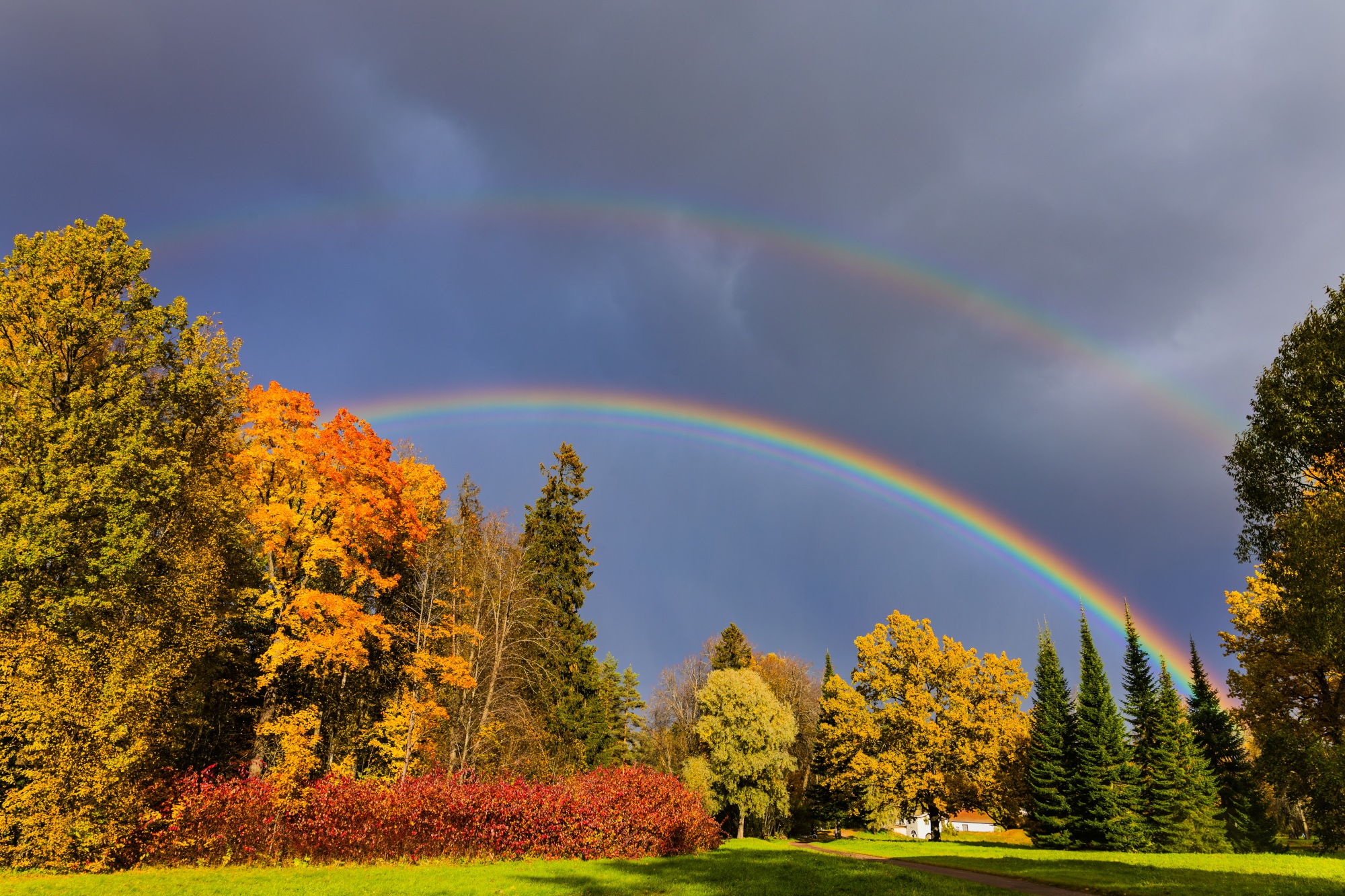 Радуга красок