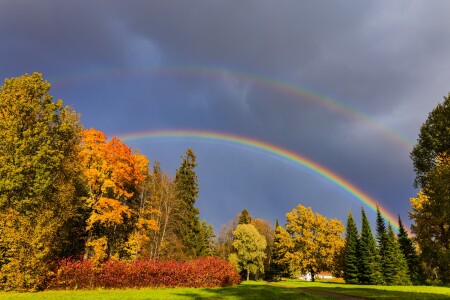 Радуга красок