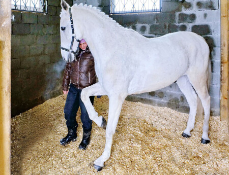 Утреннее упражнение.