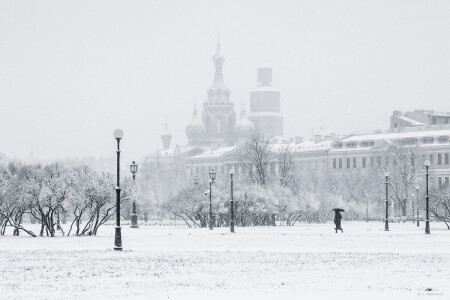Петербургский монохром. 24.11.2025.