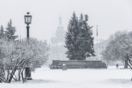 Петербургский монохром. 24.11.2025.
