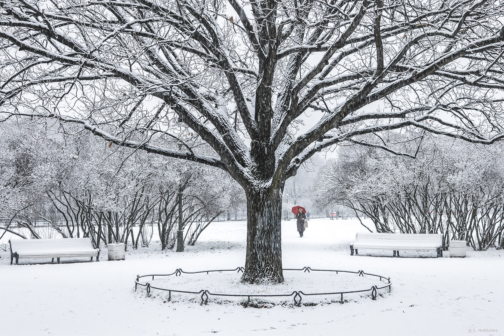 Петербургский монохром. 24.11.2025.