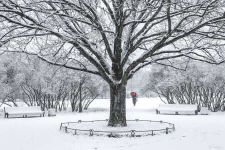 Петербургский монохром. 24.11.2025.