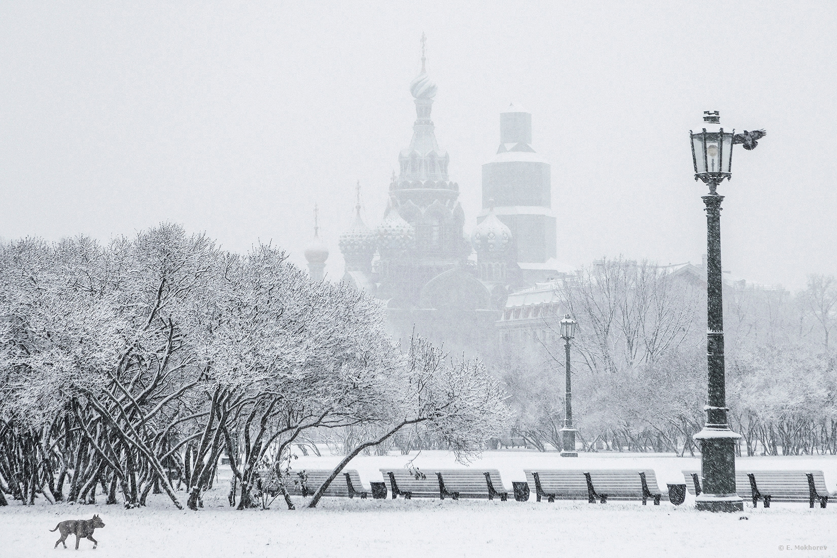 Петербургский монохром. 24.11.2025.