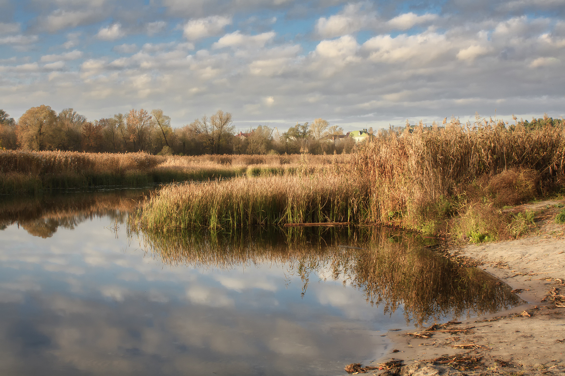 Осень в позитивном свете