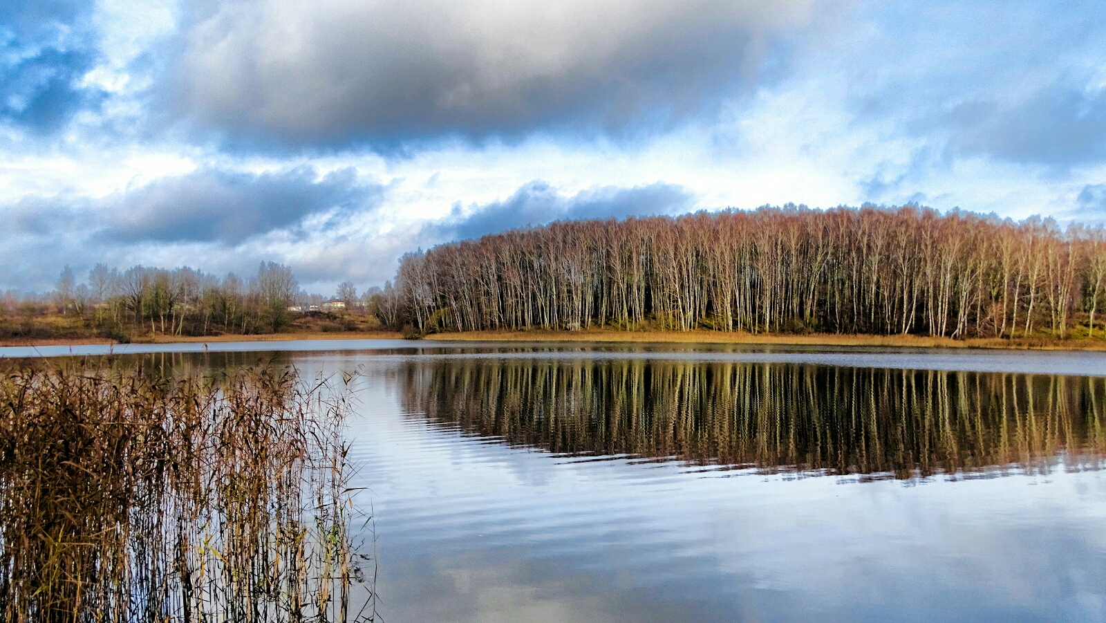 Природа Смоленщины 