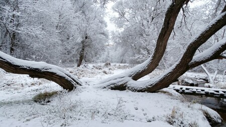 Природа Смоленщины 