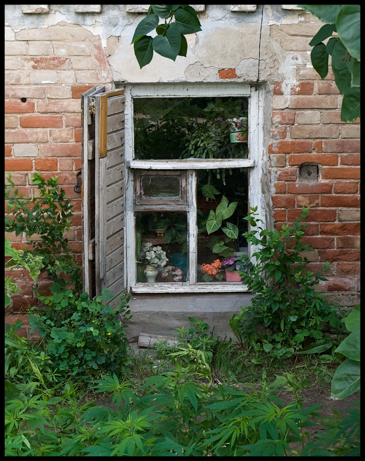 Двые стороны окна