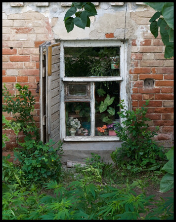 Двые стороны окна