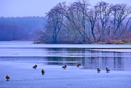 Первые заморозки.
