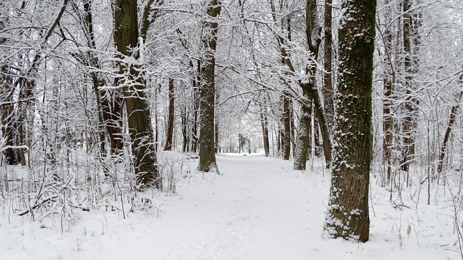 Природа Смоленщины 