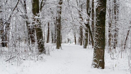 Природа Смоленщины 