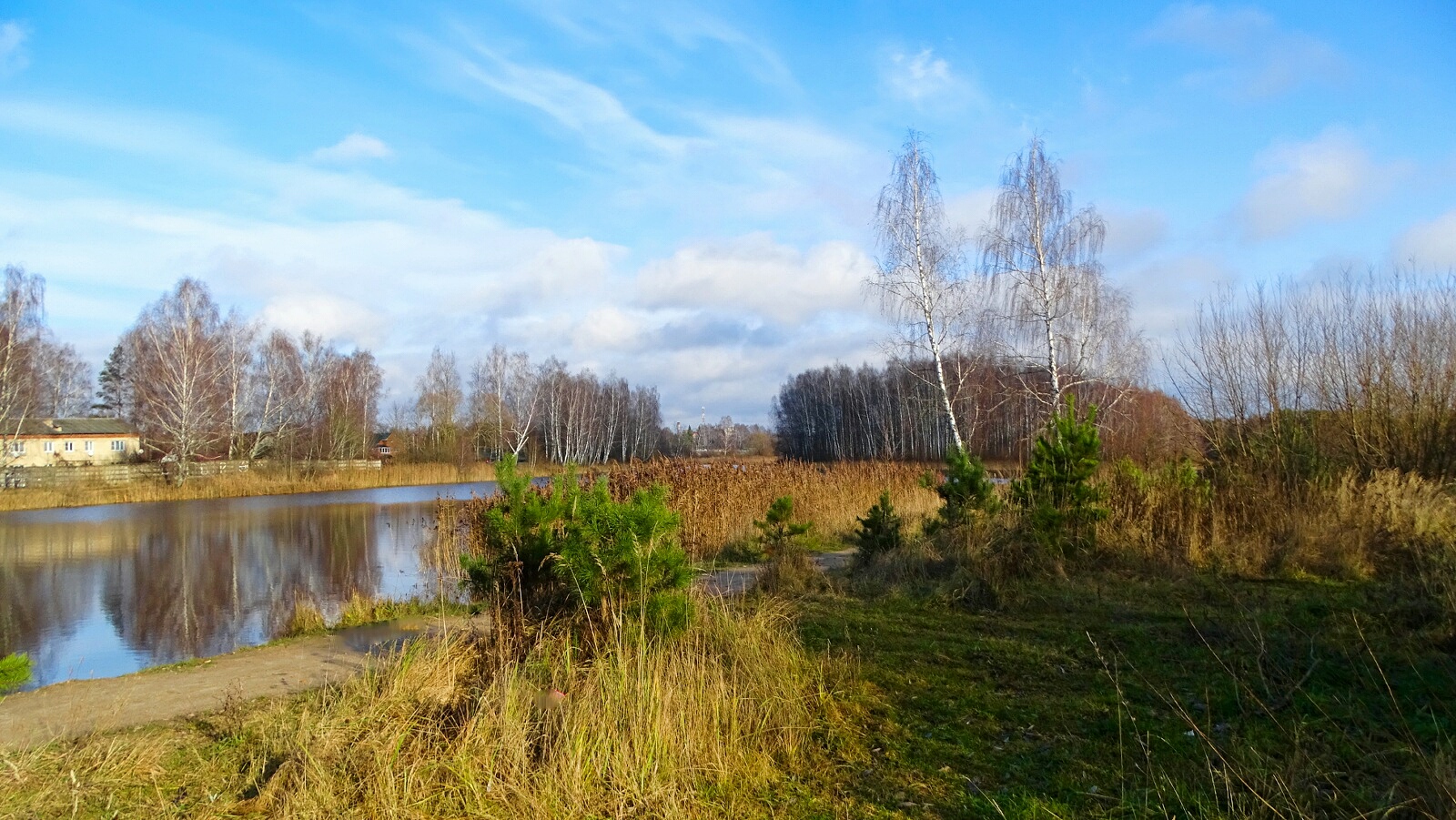 Природа Смоленщины 