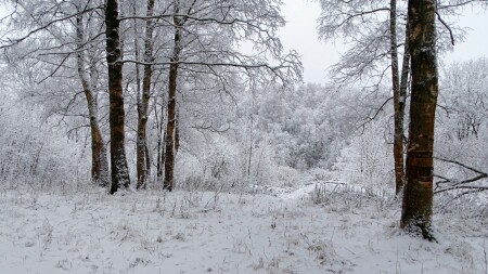 Природа Смоленщины 