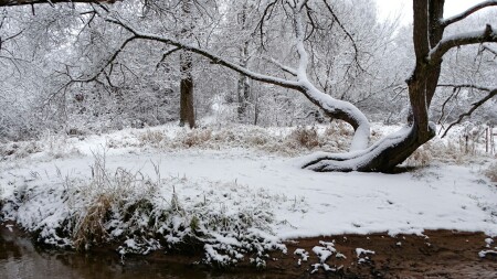 Природа Смоленщины 