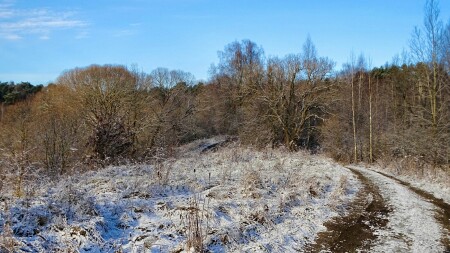 Природа Смоленщины 