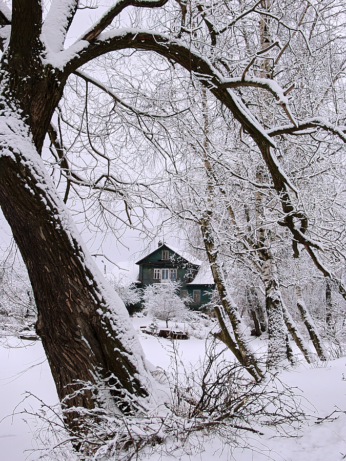 Зимние кружева