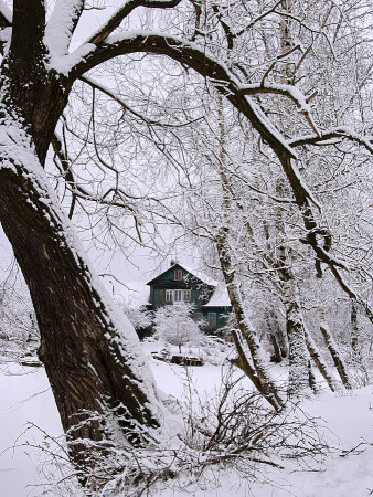 Зимние кружева