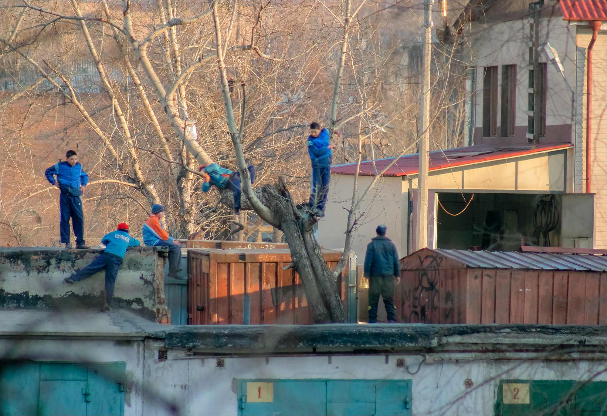 ГРАЧИ ПРИЛЕТЕЛИ 2005