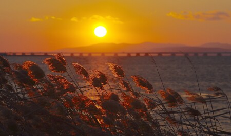 Под вечерним солнцем