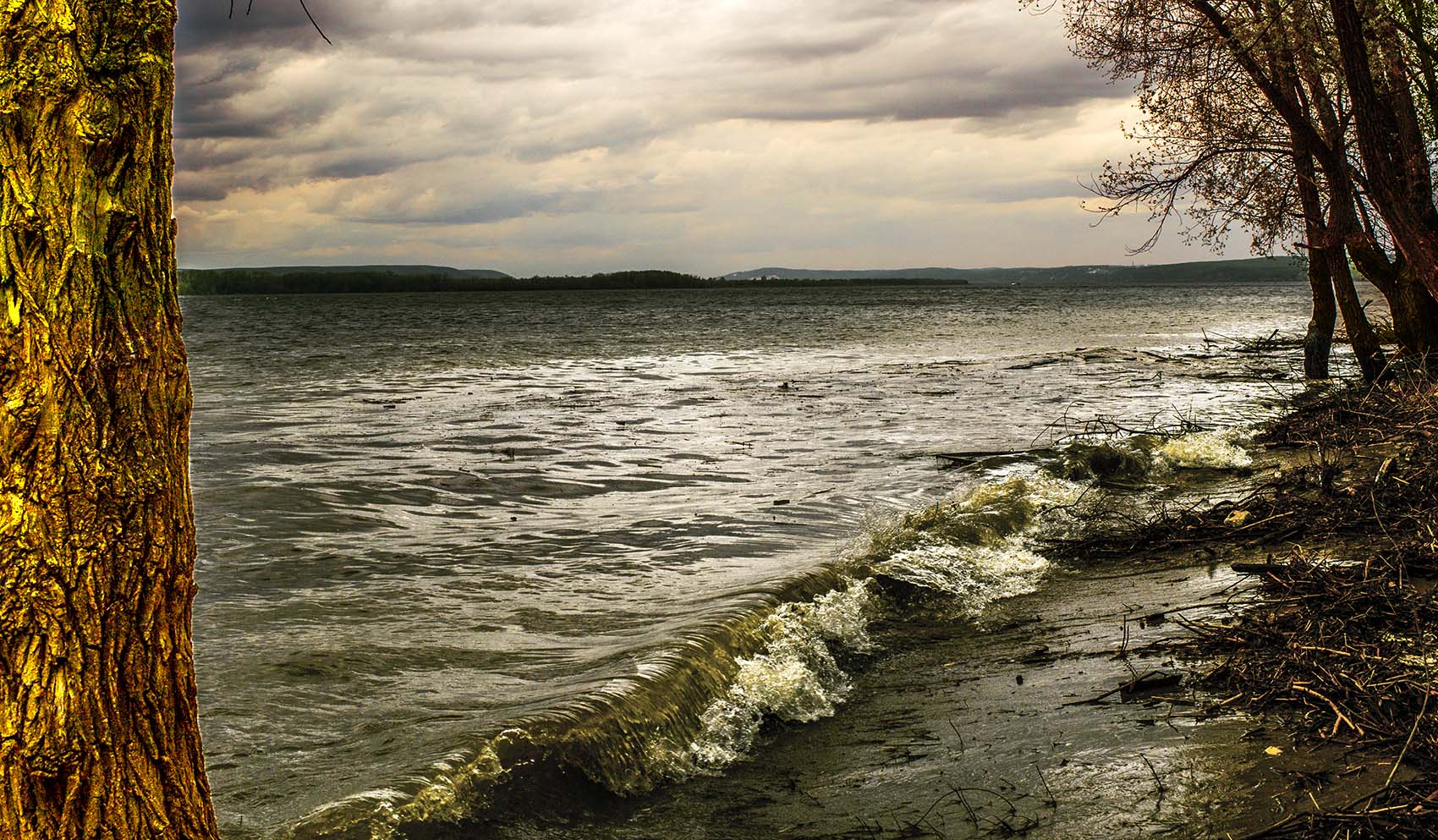 Волны заливают деревья