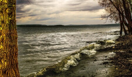 Волны заливают деревья