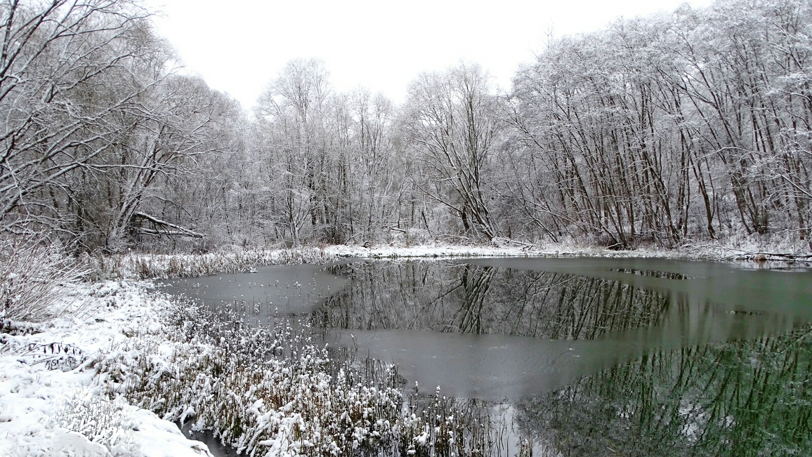 Природа Смоленщины 