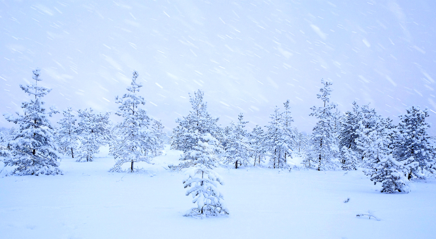 Зима пришла