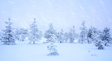 Зима пришла