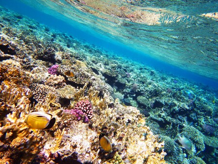 Подводный мир