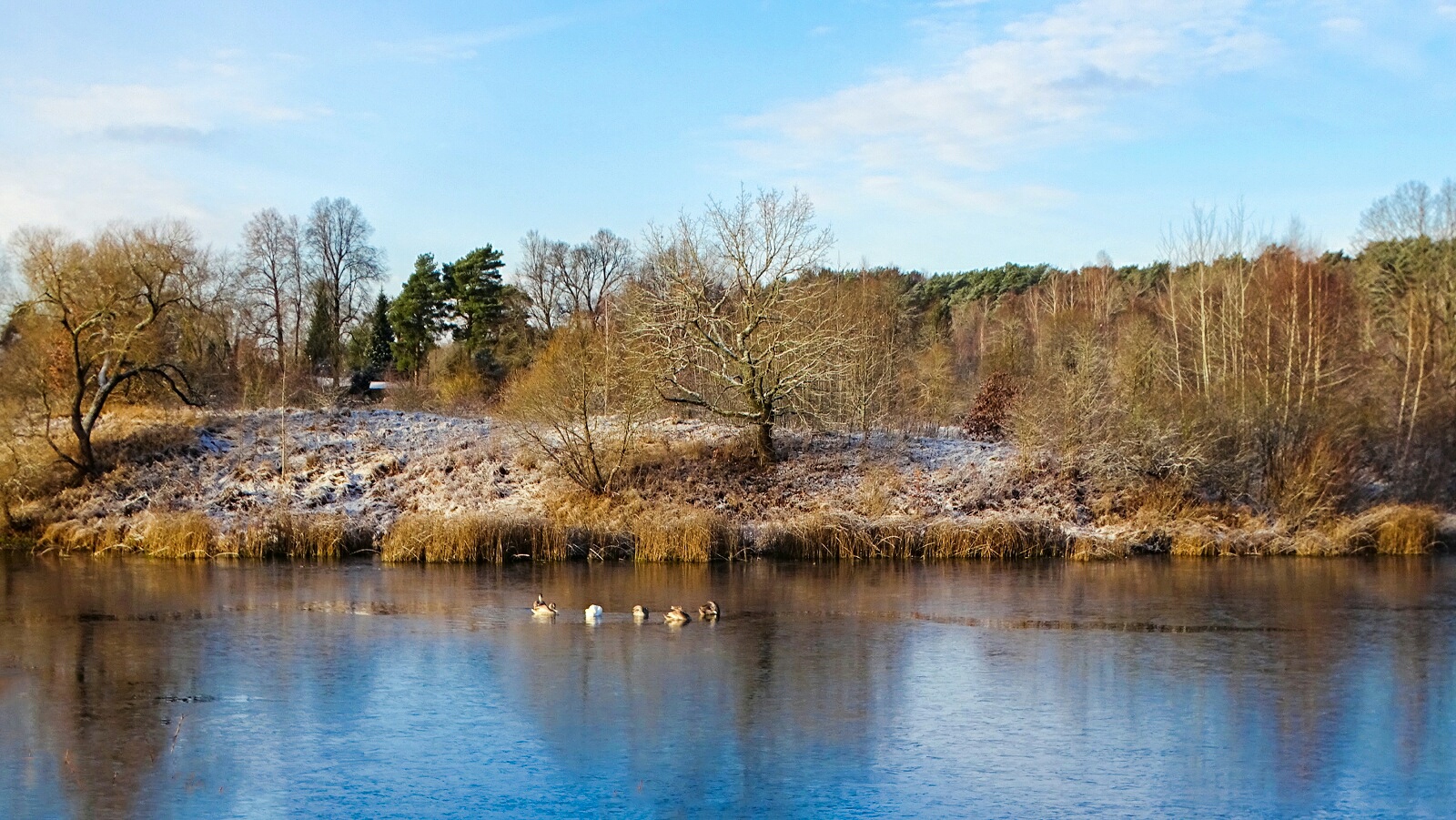 Природа Смоленщины 