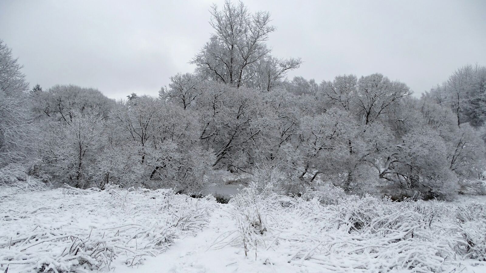 Природа Смоленщины 