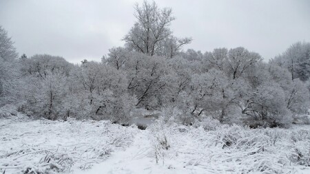 Природа Смоленщины 