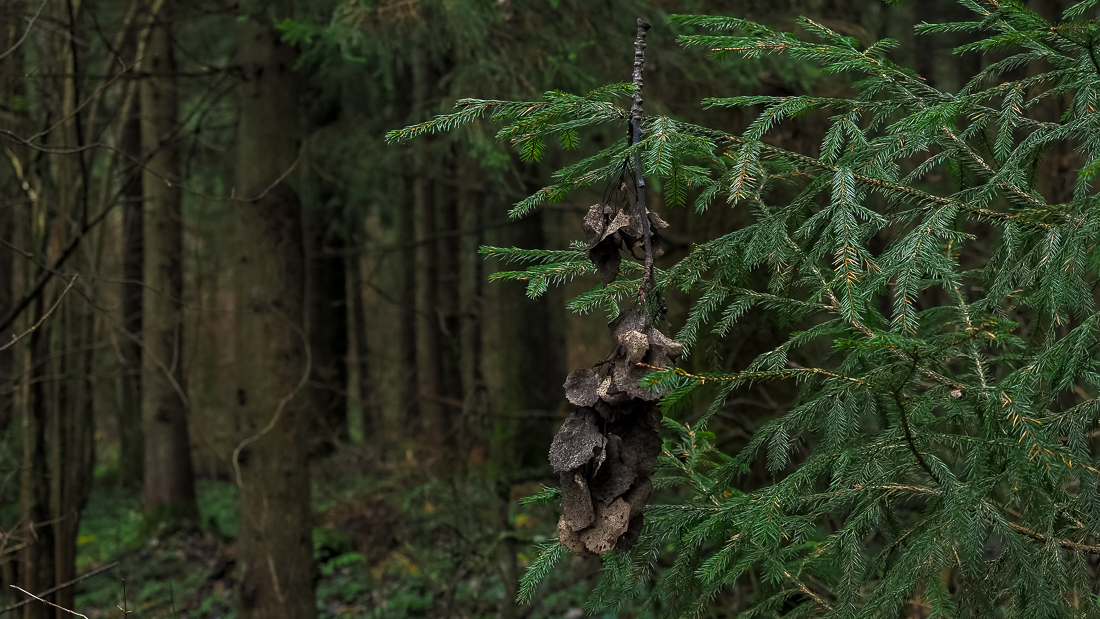 Украшение для ёлки