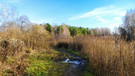 Природа Смоленщины 