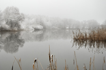 Туман и снег межсезонья