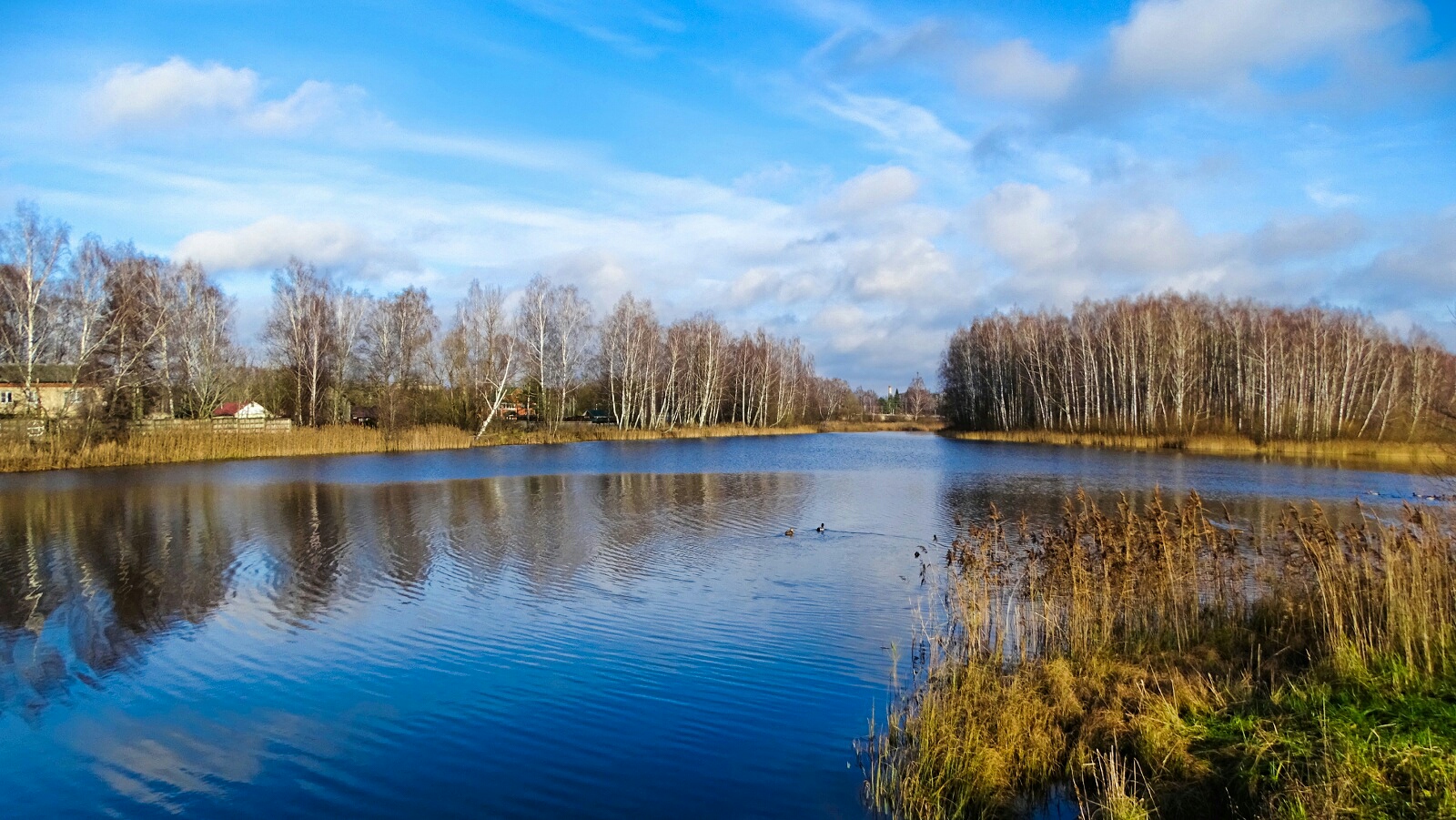 Природа Смоленщины 