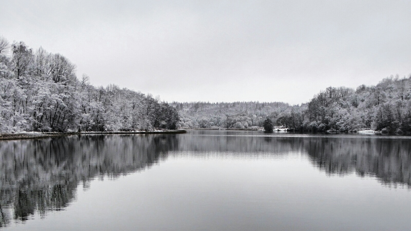 Природа Смоленщины 